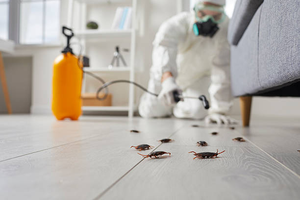Commercial Kitchen Cockroach Control in Lincoln Park